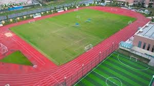 达比修有老将角色价值突出